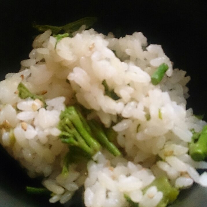 たらの芽ご飯